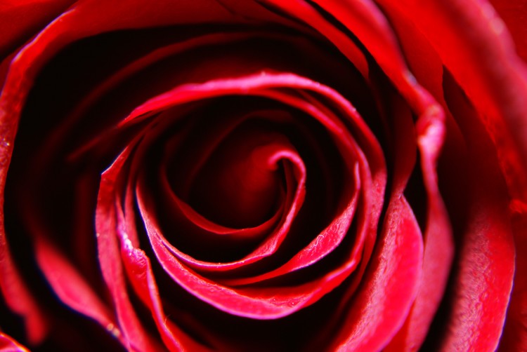 Serata a Tema Rosso Passione 